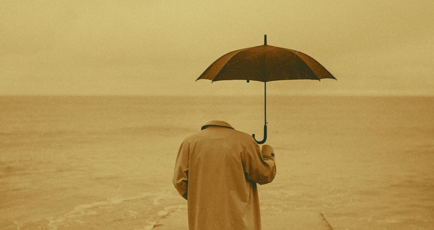 david dintsh ufxcy1egmte unsplash