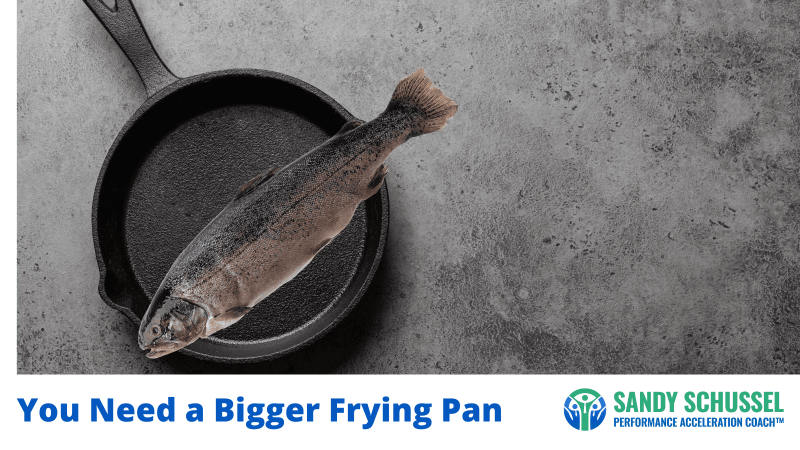 Bigger Frying Pan