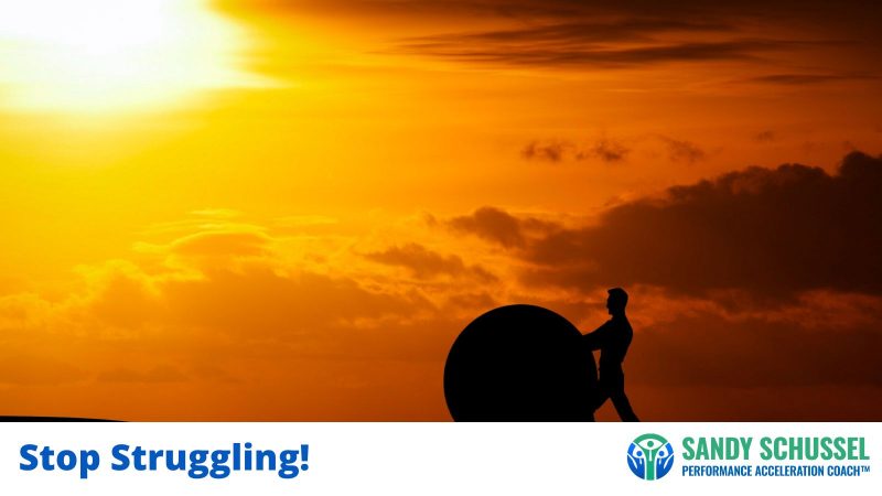 Stop Struggling - Attract What You Want by Sandy Schussel